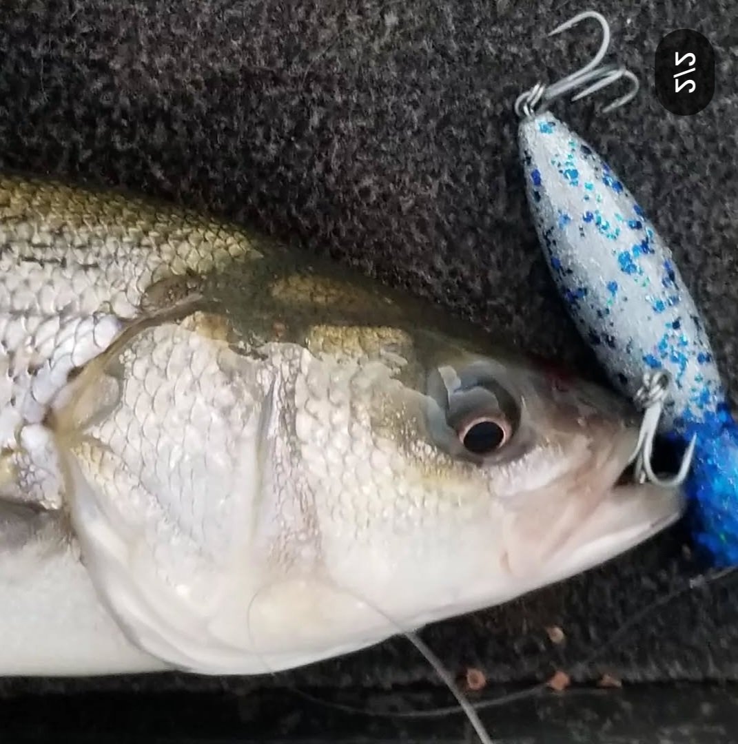 GALAXY SS 140 TOPWATER POPPER - Image 9