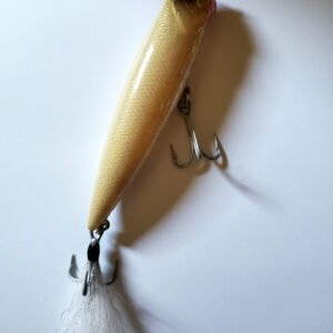 Cosmic Pluto 110 Topwater Lure