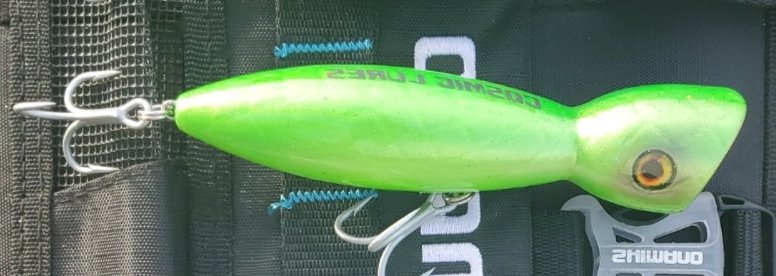 GALAXY SS 140 TOPWATER POPPER - Image 14